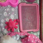 سینی دستشویی