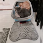 پادری ظرف خاک گربه جروج