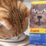 مارینس جوسرا 2 کیلوگرم