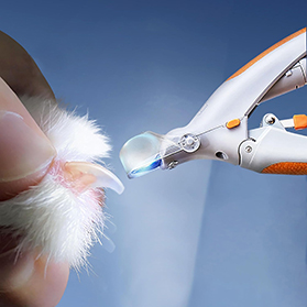 ناخن گیر حرفه ای گیوتینی چراغ دار محفظه دار به همراه ذره بین برای سگ و گربه