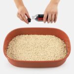 دانه دیودورانت خاک گربه1