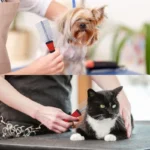 شانه گره باز کن سگ و گربه دو طرفه3