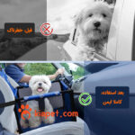 صندلی ماشین سگ و گربه-آبی3