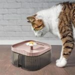 ظرف آب فواره ای گربه با فیلتر چهارگانه6