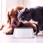 ظرف آبخوری ضد جلبک واشردار سگ و گربه1