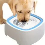 ظرف آبخوری ضد جلبک واشردار سگ و گربه2