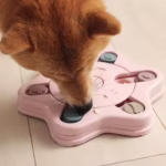 ظرف غذای پازلی چند ضلعی سگ و گربه2