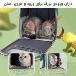 کوله پشتی حمل گربه و سگ Moor Pet مدل والتر-1