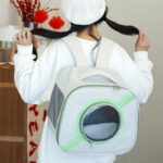 کوله پشتی فضایی گربه Moorpet5