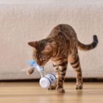 اسباب بازی رباتیک گربه بانتر-2