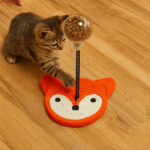 اسکرچر گربه مدل تعامل و پرتاب کننده تشویقی طرحدار-4