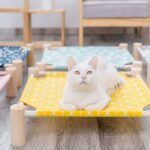 تخت خواب فوتون گربه-4