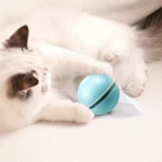 توپ رباتیک گربه LED دار Dougez-1