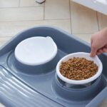 ظرف غذای دوقلو ضد مورچه سگ و گربه-1