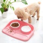 ظرف غذای دوقلو ضد مورچه سگ و گربه-3