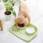 ظرف غذای دوقلو ضد مورچه سگ و گربه-4