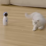 لیزر گربه رباتیک گرداننده شارژی و قابل تنظیم-2