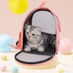 کیف حمل گربه Moor Pet مدل تدی-6