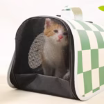 کیف حمل گربه مدل فضایی لوکس – دوشی-6