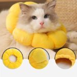 گردنبند الیزابت گربه بالشتی طرح گل آفتابگردان