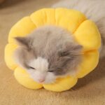 گردنبند الیزابت گربه بالشتی طرح گل آفتابگردان-2