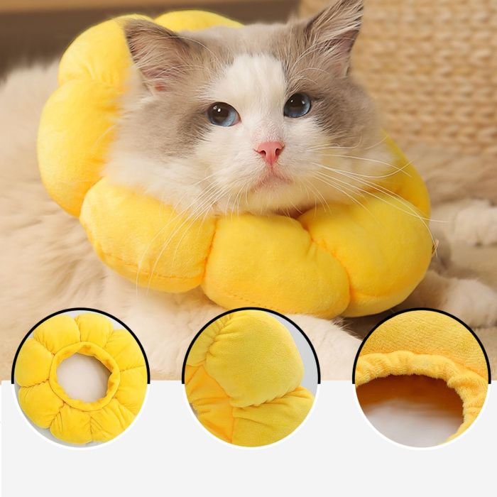 گردنبند الیزابت گربه بالشتی طرح گل آفتابگردان