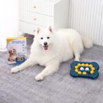 اسباب بازی سگ پازل فکری مدل استخوان آرام خور-3