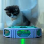 اسباب بازی گربه چرخشی LED ماراتون-1