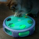 اسباب بازی گربه چرخشی LED ماراتون-3