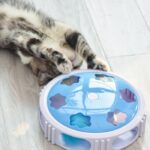 اسباب بازی گربه چرخشی LED ماراتون-6