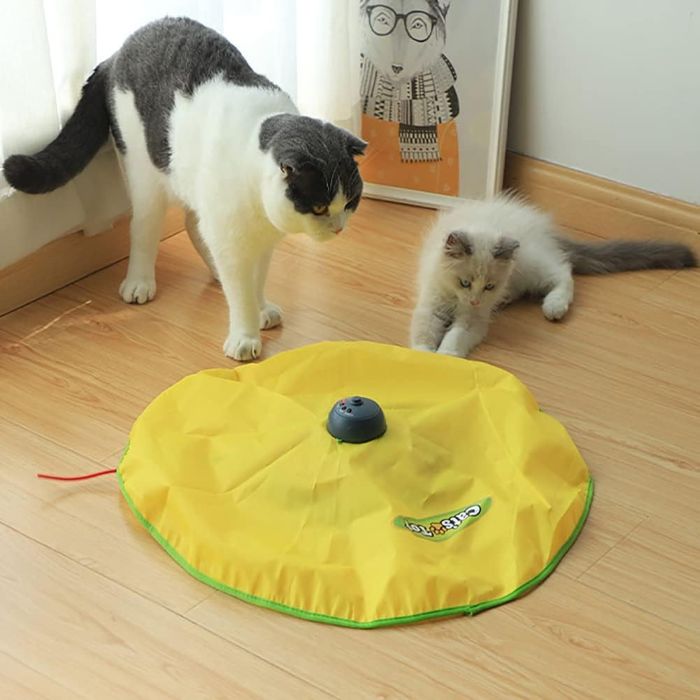 اسباب بازی گربه چرخ گردان 4 ساعته برند دوگز