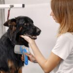 برس سگ و گربه با دکمه تخلیه مدل Enzo با دسته ضد لغزش-3