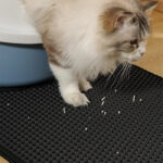 زیر انداز خاک گربه دو لایه مشبک و فیلتردار