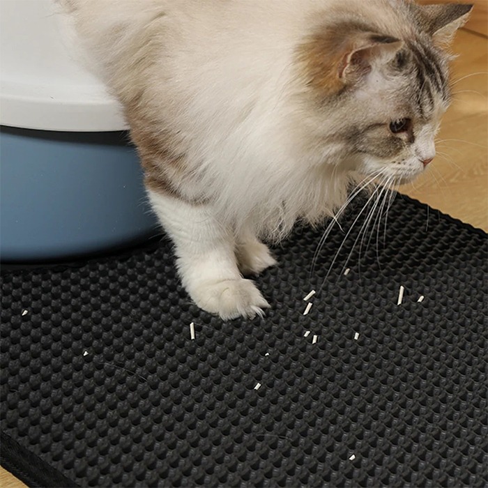 زیر انداز خاک گربه دو لایه مشبک و فیلتردار