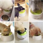 ظرف آبخوری سگ و گربه ضد جلبک مدل دایره ای استنلی-3