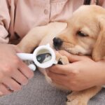 ناخن گیر سگ و گربه محفظه دار با سوهان مدل کوتیشن-5