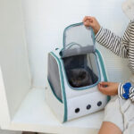 کوله حمل گربه Hello Cat وارداتی-1