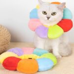 گردنبند الیزابت بالشتی گربه طرح گل رنگین کمان-1