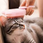 برس و ماساژور بخار حیوانات بیژو-2