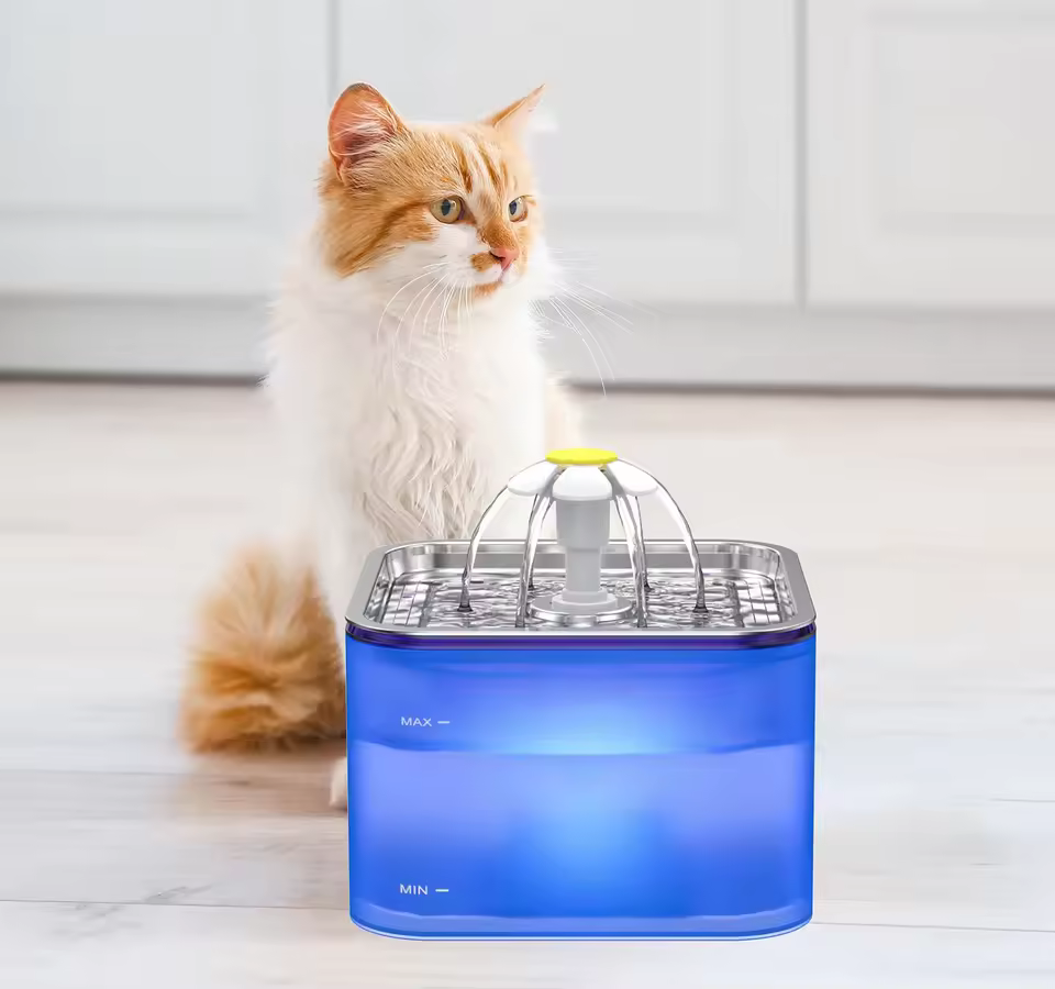 آبخوری اتوماتیک گربه با ظرف استیل دریا | فیلتر تصفیه + LED