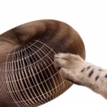 اسباب بازی تعاملی گربه مدل رینگ آکاردئونی-2