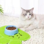 زیرانداز ظرف خاک، آب و غذا سگ و گربه مدل پنجه-4