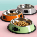 ظرف غذا سگ و گربه استیل مدل رنگی