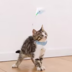 قلاده و دستبند بازی تعاملی گربه پردار زنگوله دار-1