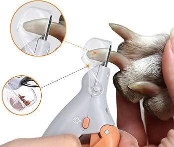 چطور بدون استرس ناخن پت خود را کوتاه کنیم؟