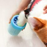 پنجه شور و پاشور سگ دیانا-2