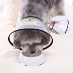 گردنبند الیزابت سگ و گربه چسبی-1