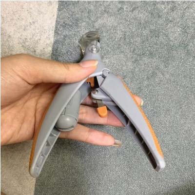 ۵ اشتباه رایج در کوتاه کردن ناخن حیوانات خانگی