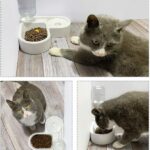 آبخوری اتوماتیک سگ و گربه به همراه ظرف غذا مدل قلب