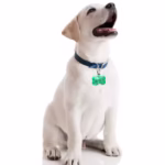 آویز قلاده سگ چراغدار مدل استخوان